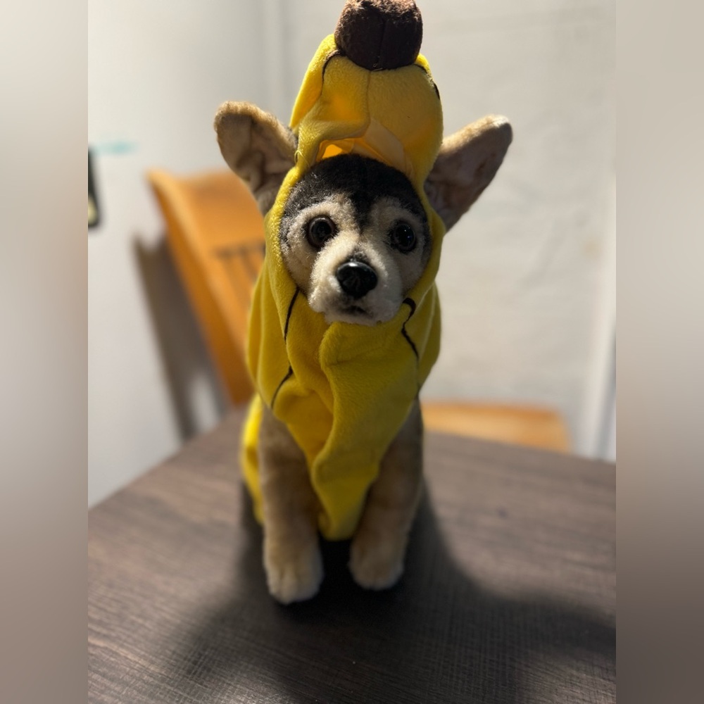 Pets - Banana Pet Costume - Small